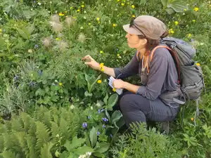 Plan de gestion rédaction, lucile béguin Drôme diagnostic environnement